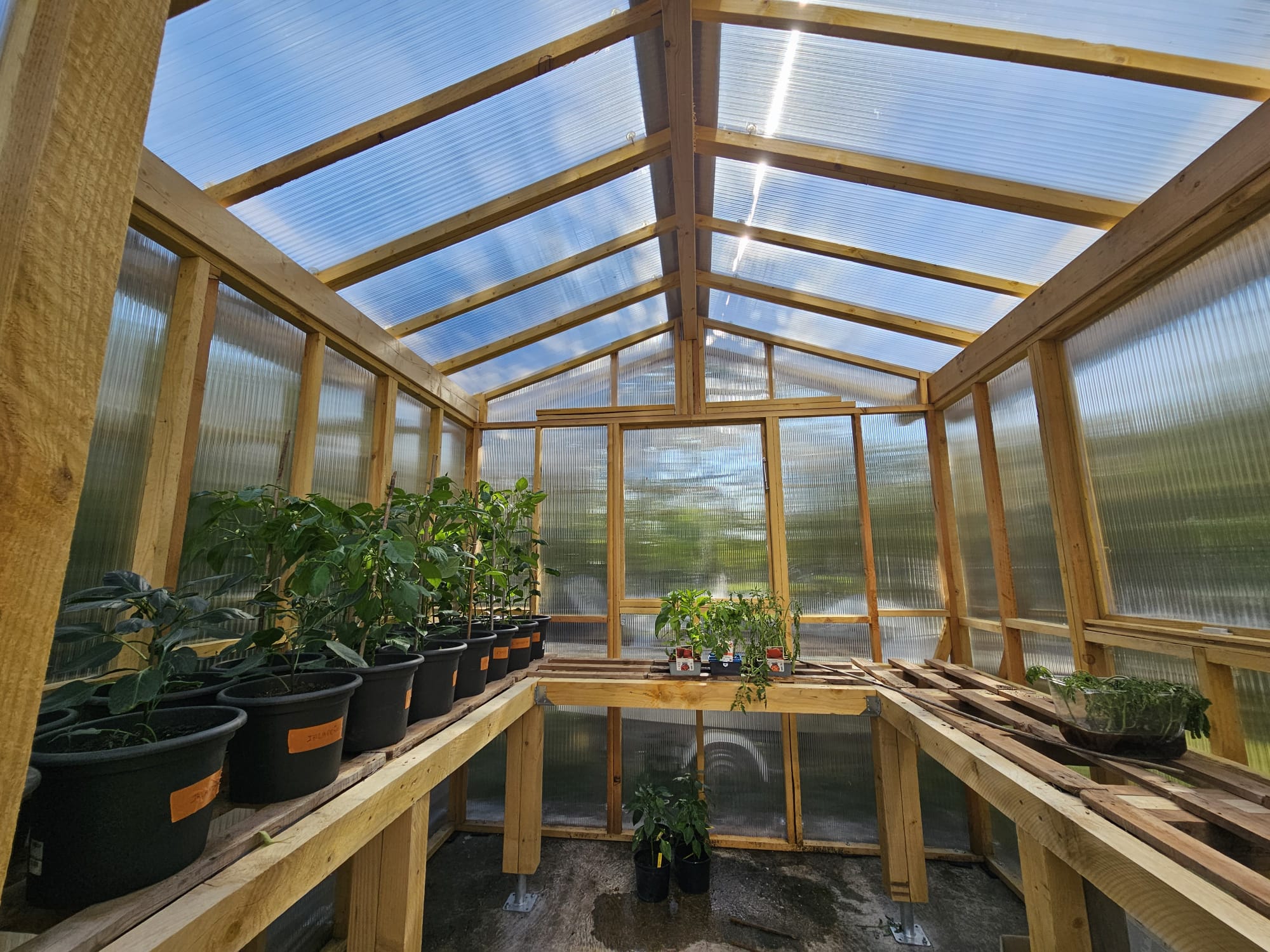 WhatsApp Image 2026 03 22 at 18.44.47 (3)